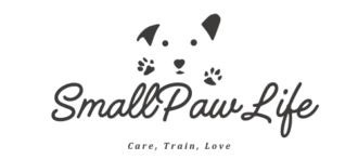 SmallPawLife
